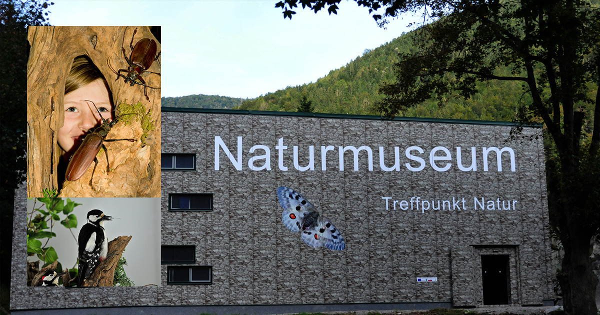 (c) Naturmuseum.at